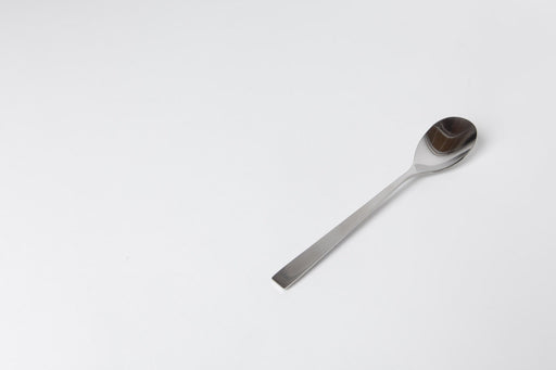 Stainless Spoon